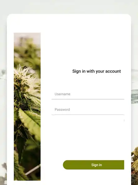 Play STORE WEED BE HAVING IT as an online game STORE WEED BE HAVING IT with UptoPlay