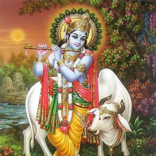 Play Stories of Krishna in Gujarati APK