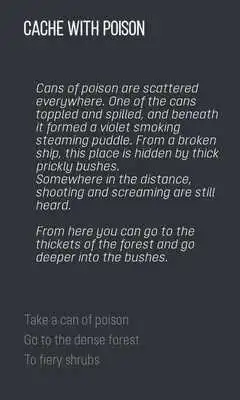Play Storiz - Text Quest