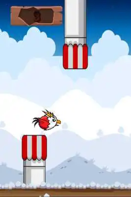 Play Storm Bird Play Storm Bird