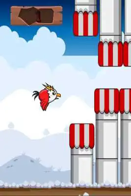 Play Storm Bird Play Storm Bird