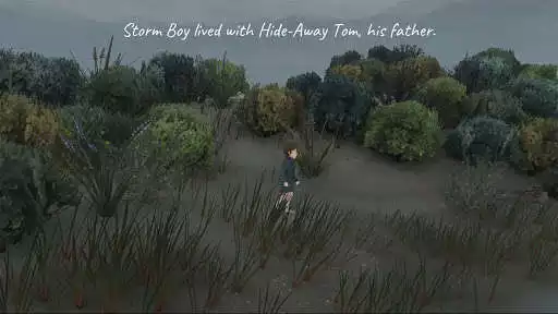 Play Stormboy