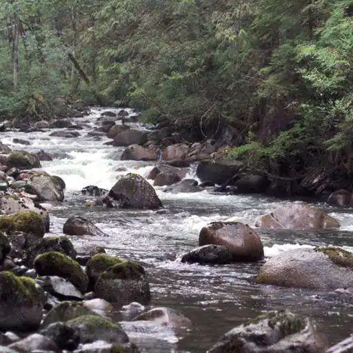 Free play online Stormy mountain river APK Free play online Stormy mountain river APK