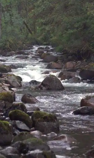 Play Stormy mountain river