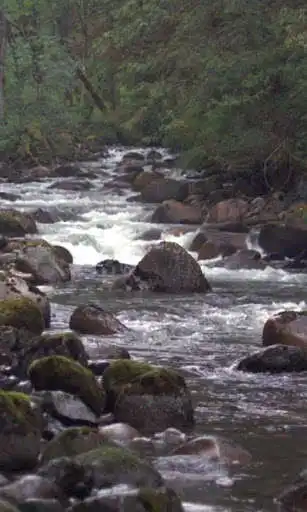 Play Stormy mountain river