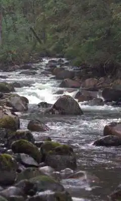 Play Stormy mountain river