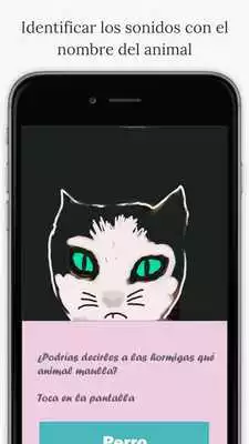 Play Story app for Kids