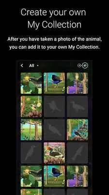 Play Story of the Forest