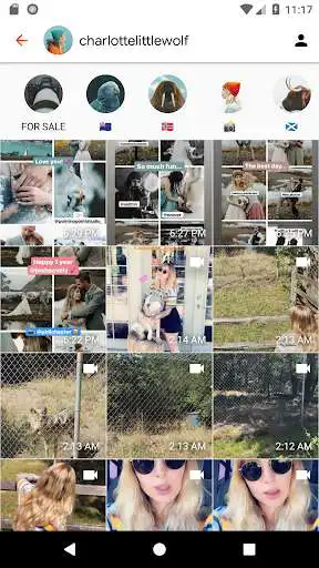 Play Story Saver for Instagram - Story Ninja as an online game Story Saver for Instagram - Story Ninja with UptoPlay