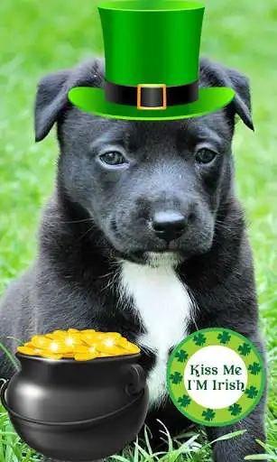 Play St Patricks Day Photo Stickers