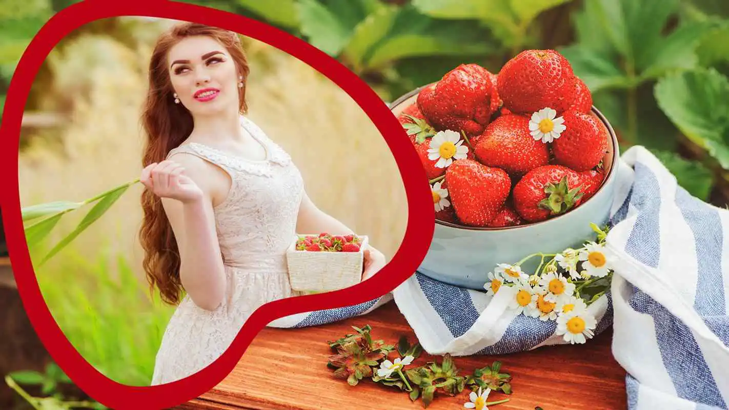 Play Strawberry Frames For Photos