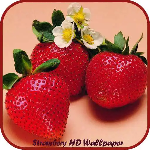 Free play online Strawberry HD Wallpaper APK Free play online Strawberry HD Wallpaper APK