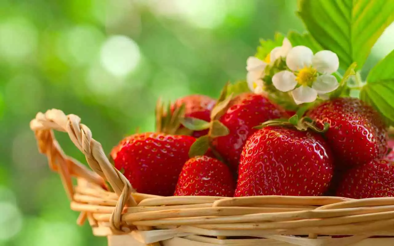 Play Strawberry Live Wallpapper