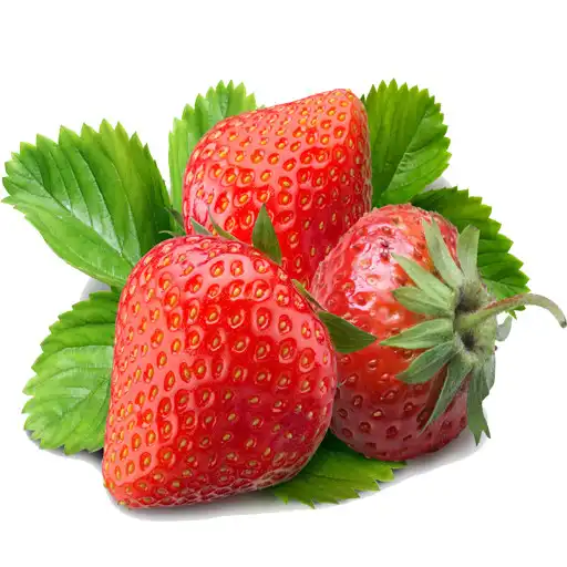 Play Strawberry Recipes APK