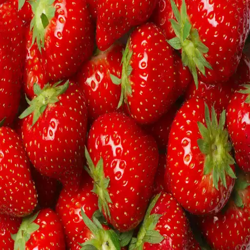 Play Strawberry Wallpaper APK Play Strawberry Wallpaper APK