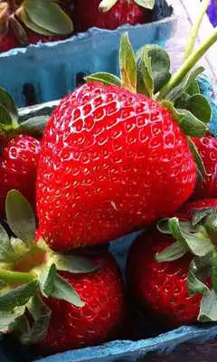 Play Strawberry Wallpaper