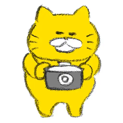 Play Stray Cats Camera APK Play Stray Cats Camera APK