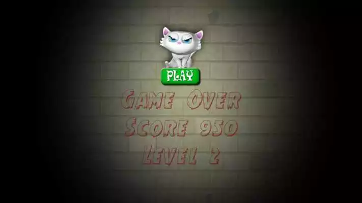 Play Stray Cat