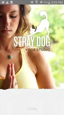 Play Stray Dog