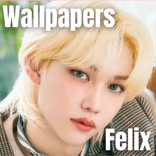 Play Stray Kids Felix Wallpaper APK