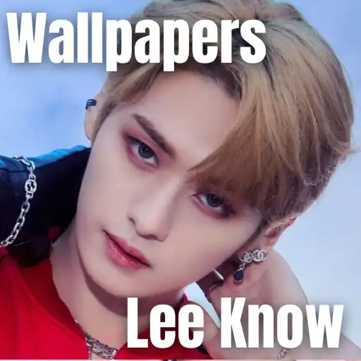 Play Stray Kids Lee Know Wallpaper APK