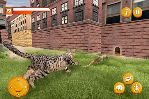 Play Stray Mouse Family Simulator  and enjoy Stray Mouse Family Simulator with UptoPlay