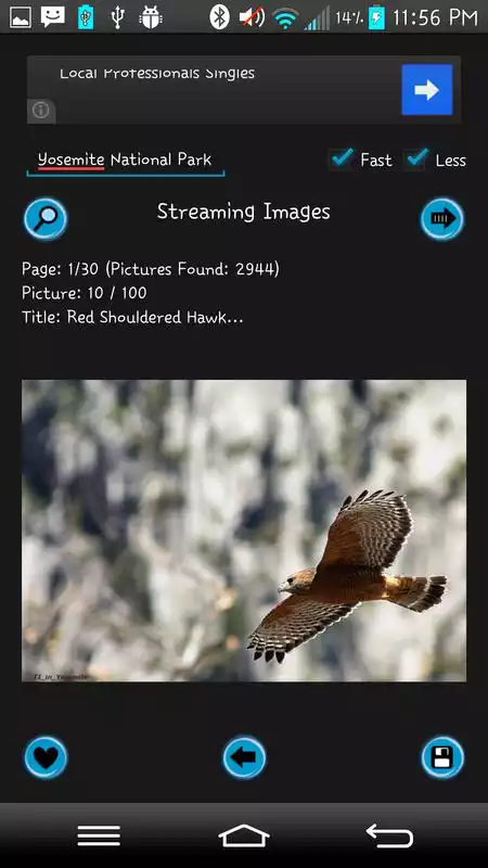 Play Streaming Images