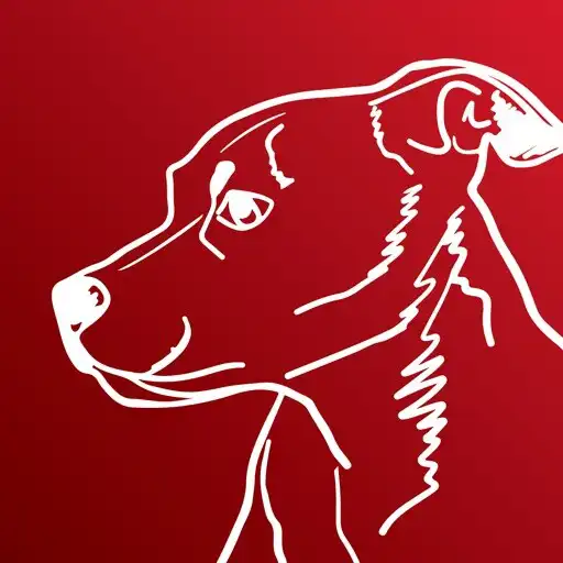 Play Streamutt APK Play Streamutt APK
