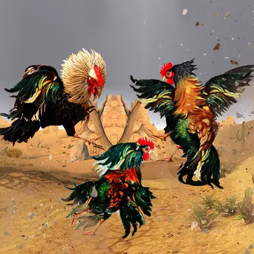 Play Street Rooster Fight Kung Fu APK Play Street Rooster Fight Kung Fu APK