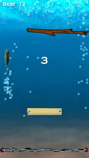 Play Stressed Fish  and enjoy Stressed Fish with UptoPlay
