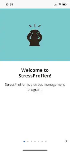 Play StressProffen US  and enjoy StressProffen US with UptoPlay
