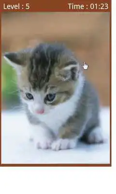 Play Stretch and shorten