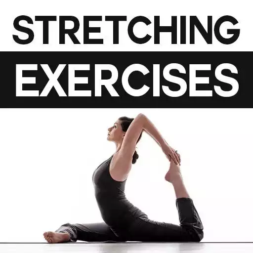 Free play online Stretching Exercises APK Free play online Stretching Exercises APK
