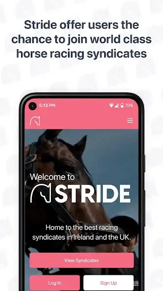 Play Stride - Horse Racing as an online game Stride - Horse Racing with UptoPlay