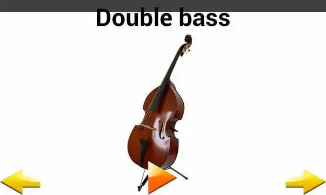 Play String Instruments Sounds