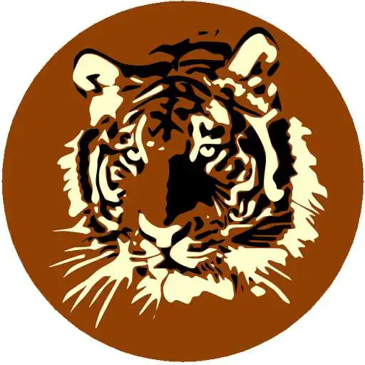 Play Striped Facts APK