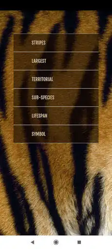 Play Striped Facts  and enjoy Striped Facts with UptoPlay