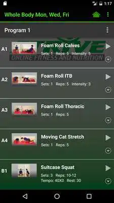 Play Strive Fitness Online