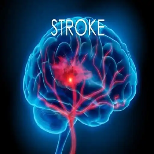 Play STROKE APK