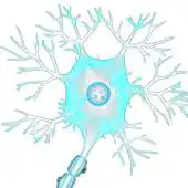 Free play online Structure of Neuron APK Free play online Structure of Neuron APK