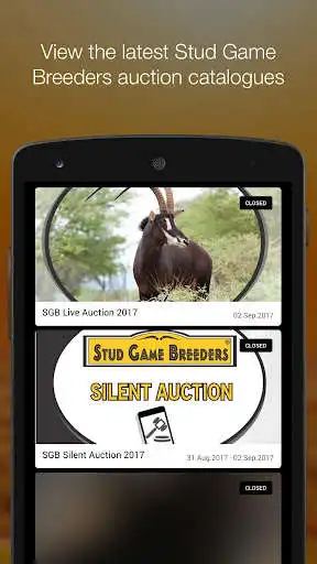 Play Stud Game Breeders  and enjoy Stud Game Breeders with UptoPlay