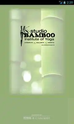 Play Studio Bamboo