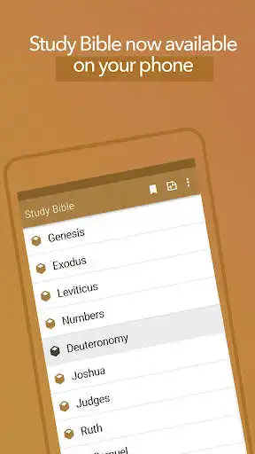 Play Study Bible explanation KJV as an online game Study Bible explanation KJV with UptoPlay