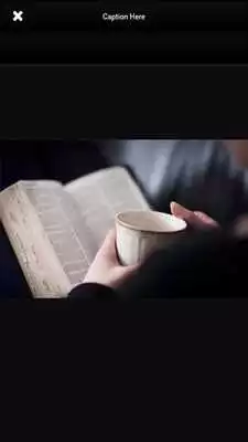Play Study Bible