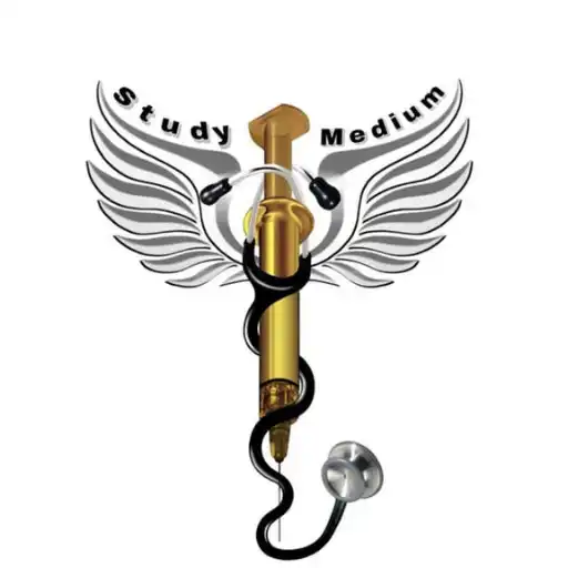 Play Study Medium APK