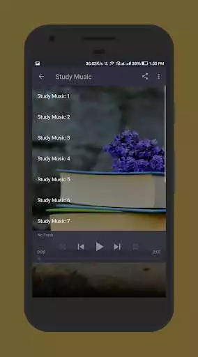 Play Study Music