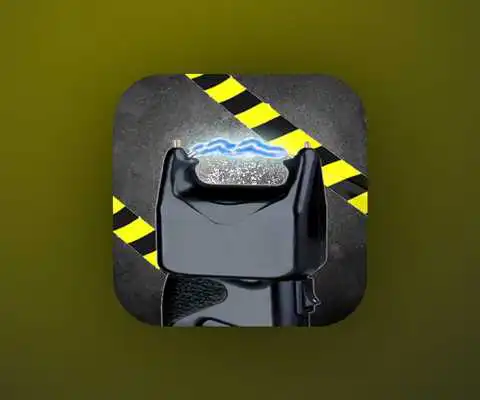 Play Stun Gun Electro Shocker AR