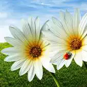 Free play online Stunning HD Nature Backgrounds APK Free play online Stunning HD Nature Backgrounds APK