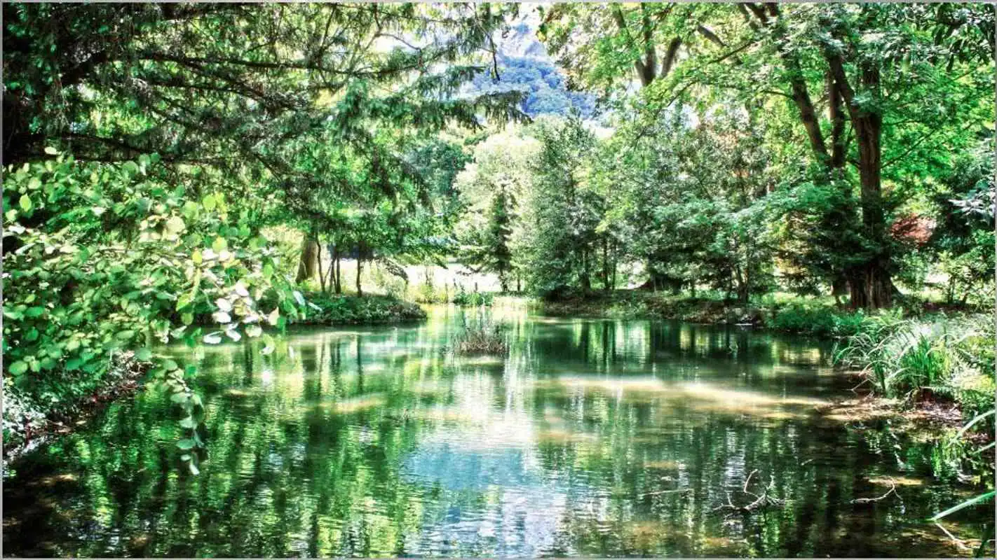 Play Stunning HD Nature Backgrounds