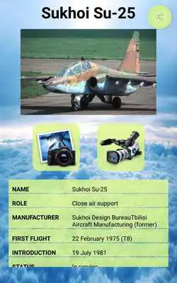Play Su-25